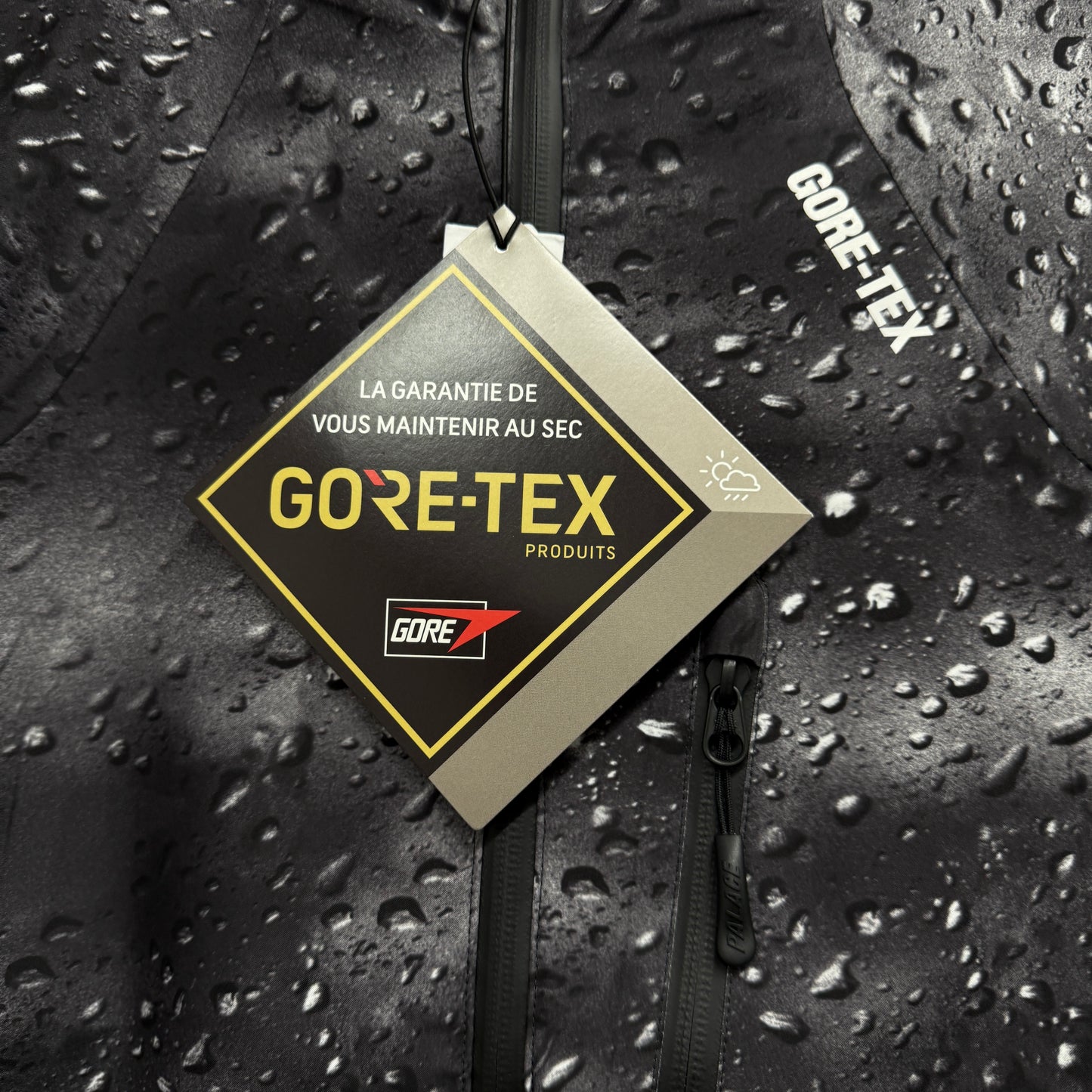 Palace Gore-Tex Palex Jacket 'Black Rain'