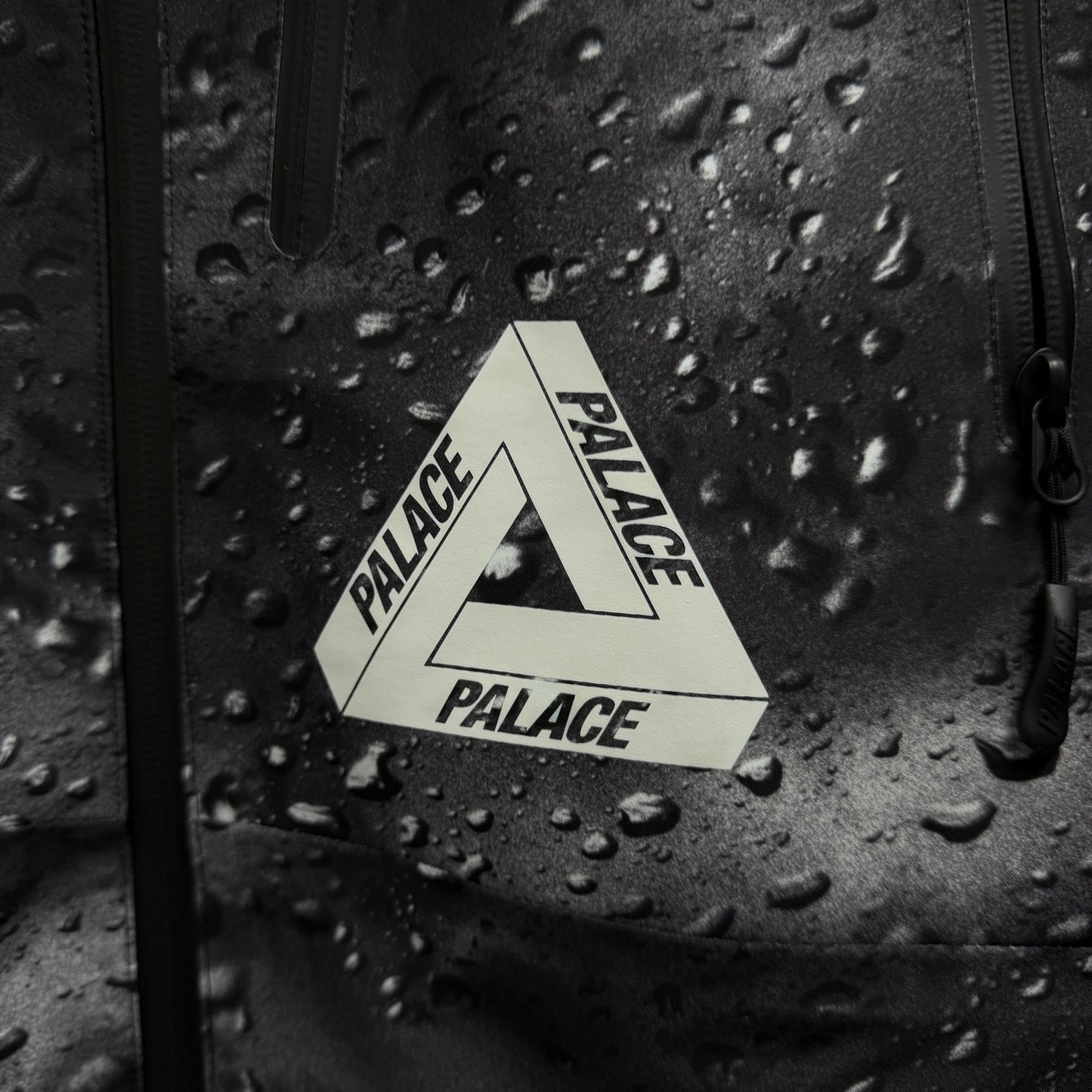 Palace Gore-Tex Palex Jacket 'Black Rain'