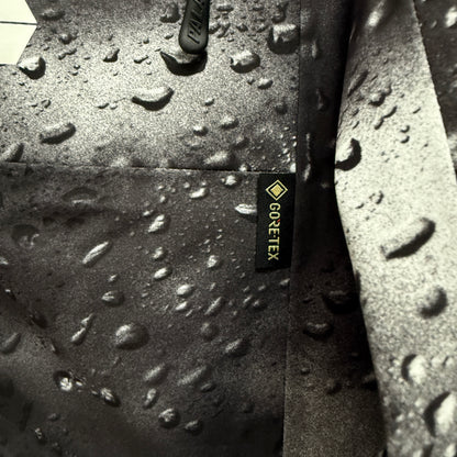 Palace Gore-Tex Palex Jacket 'Black Rain'