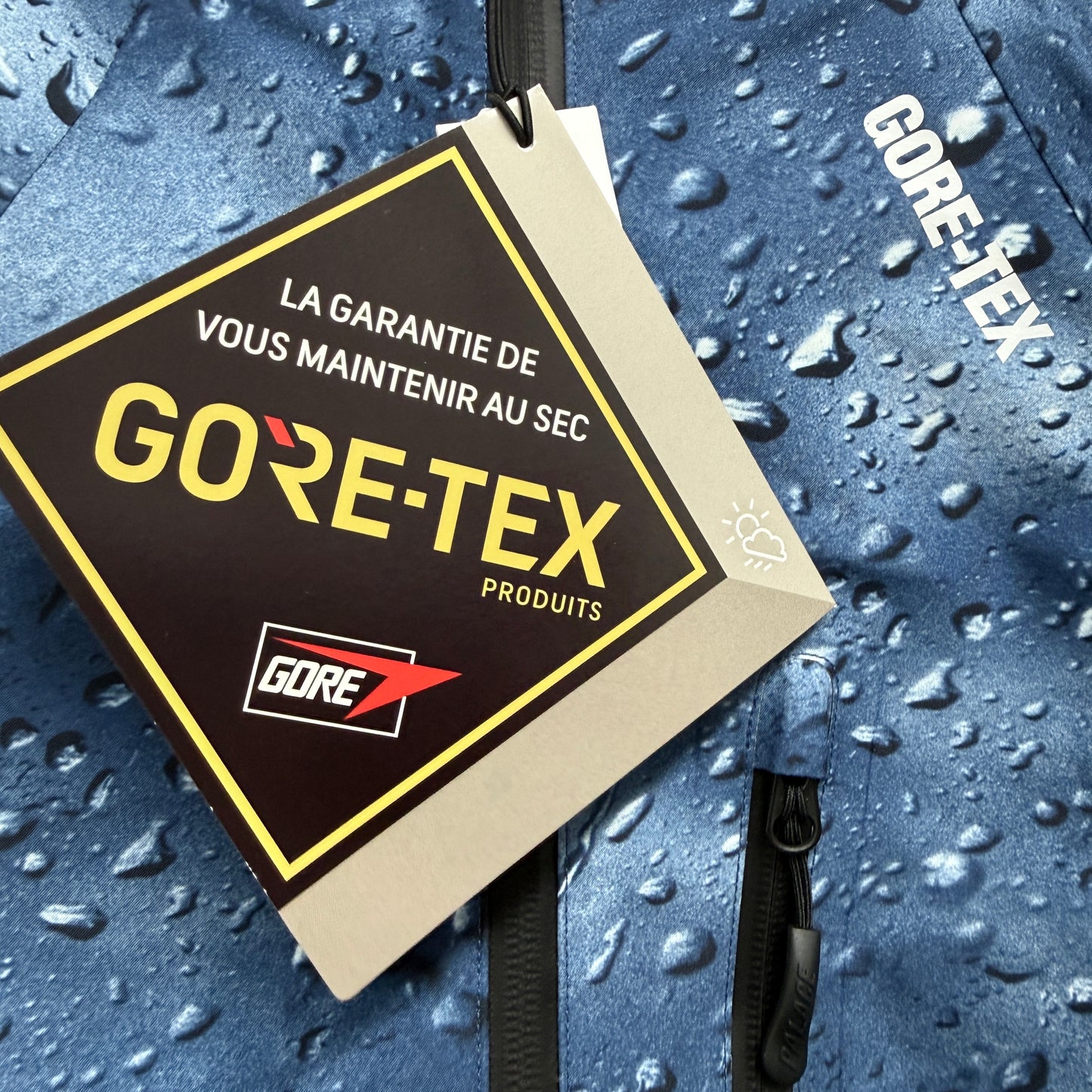 Palace Gore-Tex Palex Jacket 'Blue Rain'