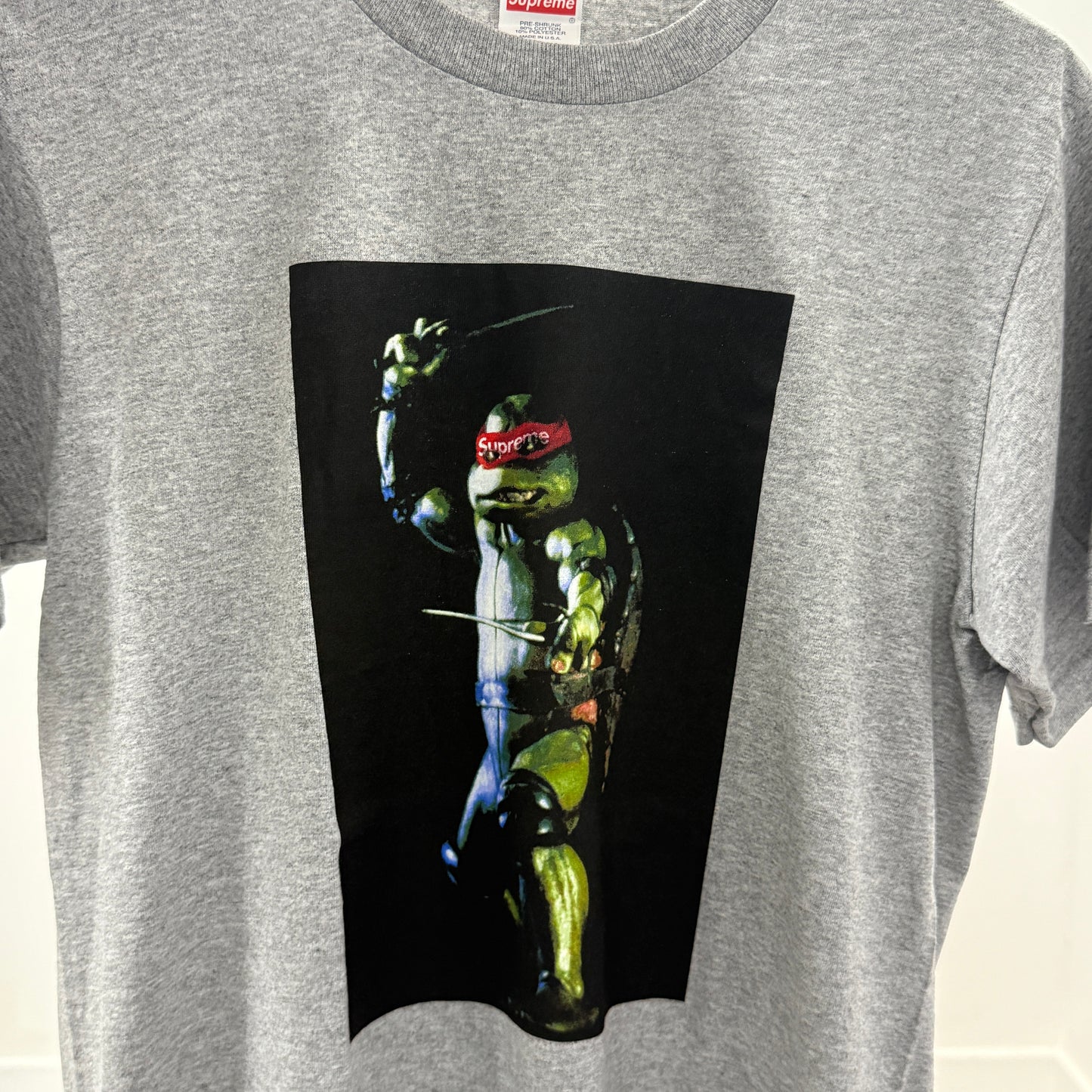 Supreme Raphael T-Shirt 'Grey'