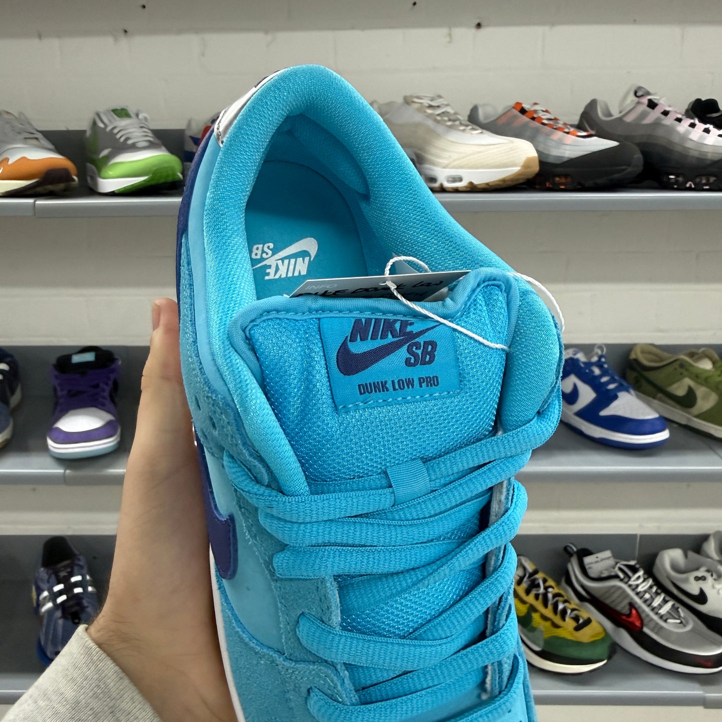 Nike SB Dunk low 'Blue Fury'