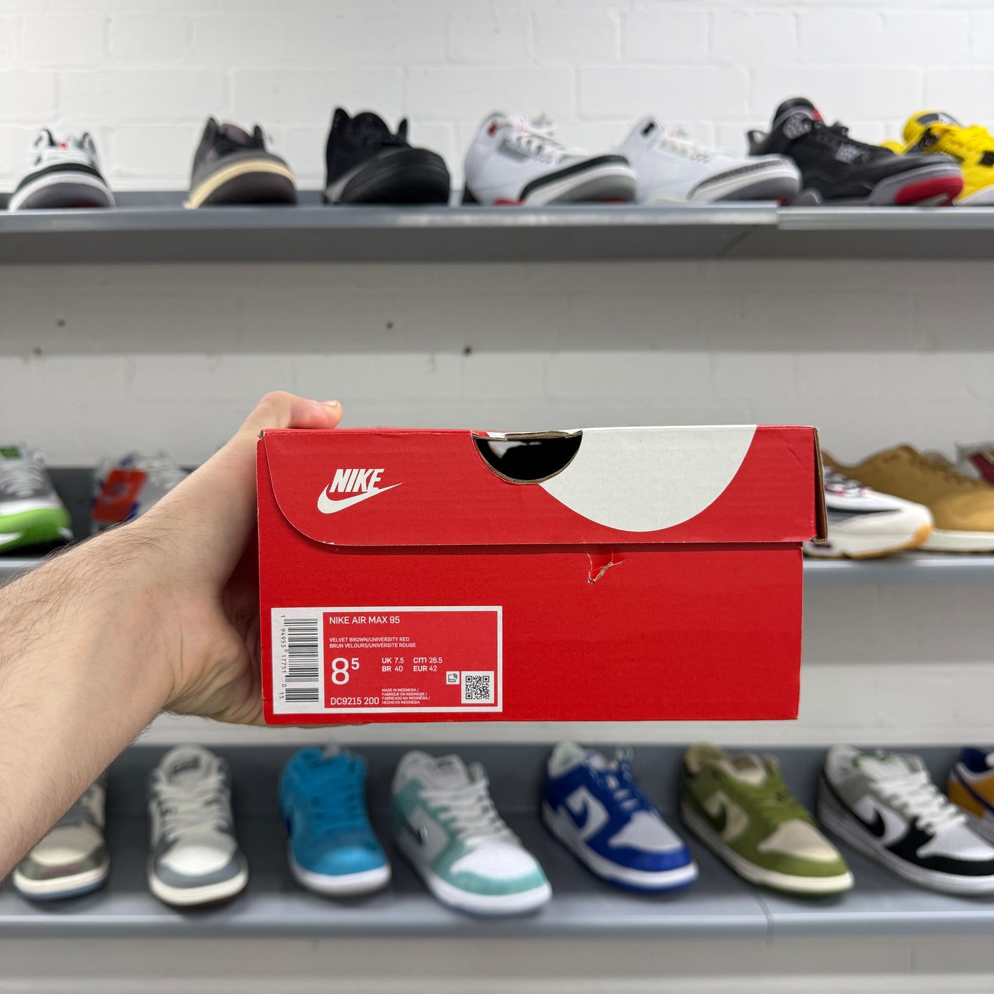 Nike Air Max 95 'Freddy Krueger'