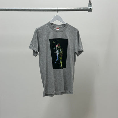 Supreme Raphael T-Shirt 'Grey'