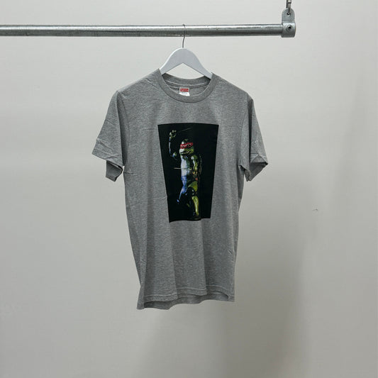 Supreme Raphael T-Shirt 'Grey'