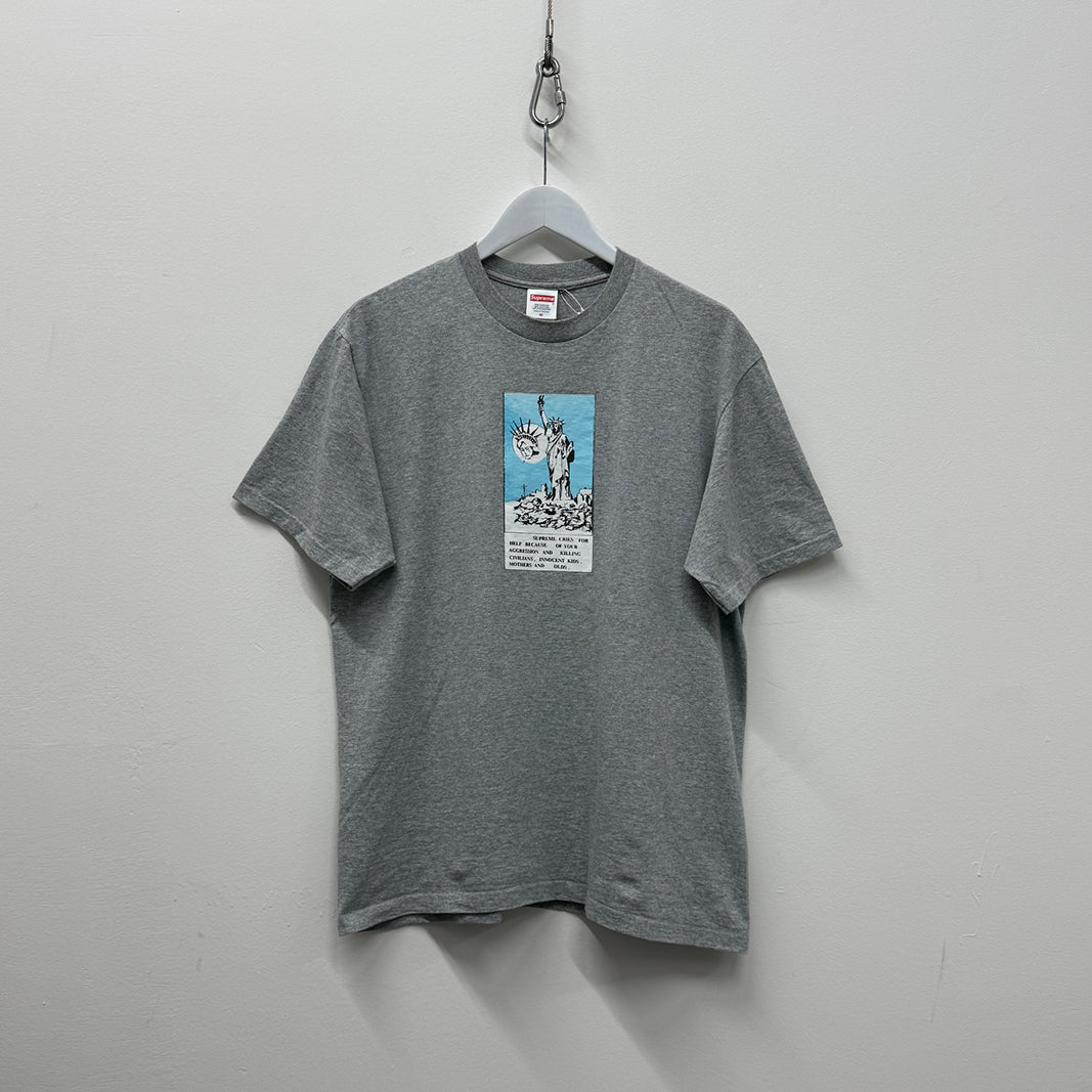 Surpeme FW24 Liberty T-Shirt 'Grey'